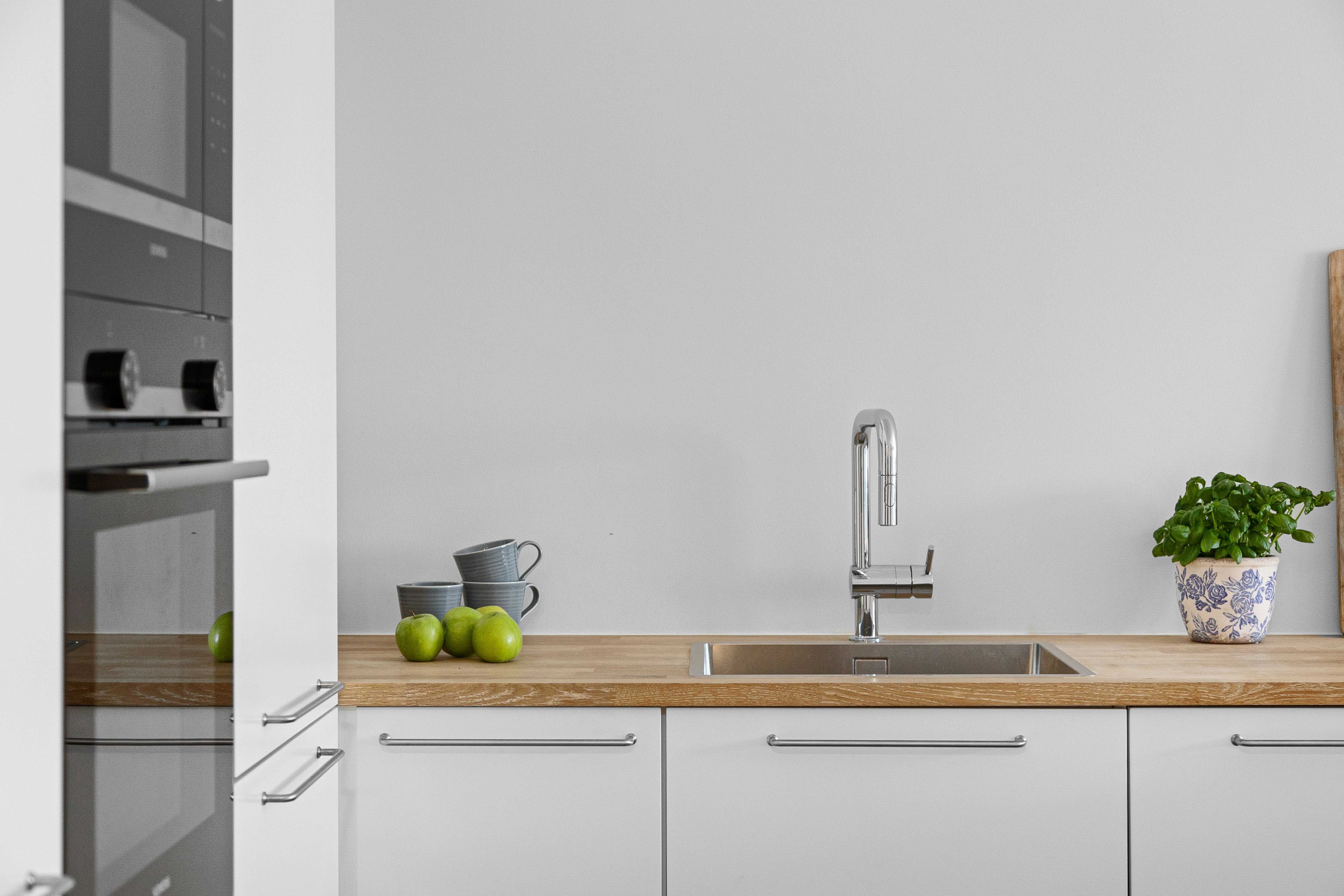 clean, white kitchen unit with sink and few plants