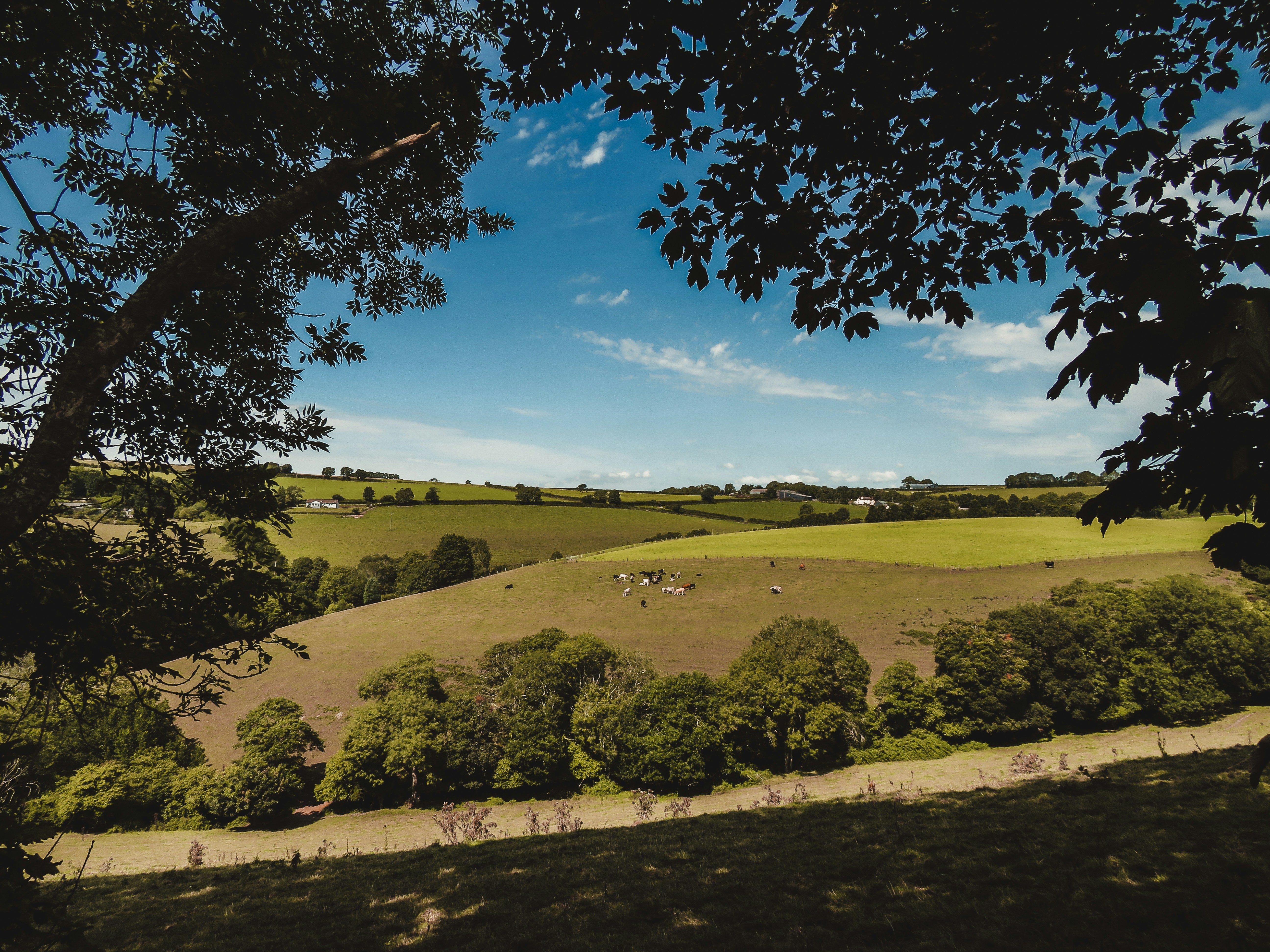 green vast field in cornwall
